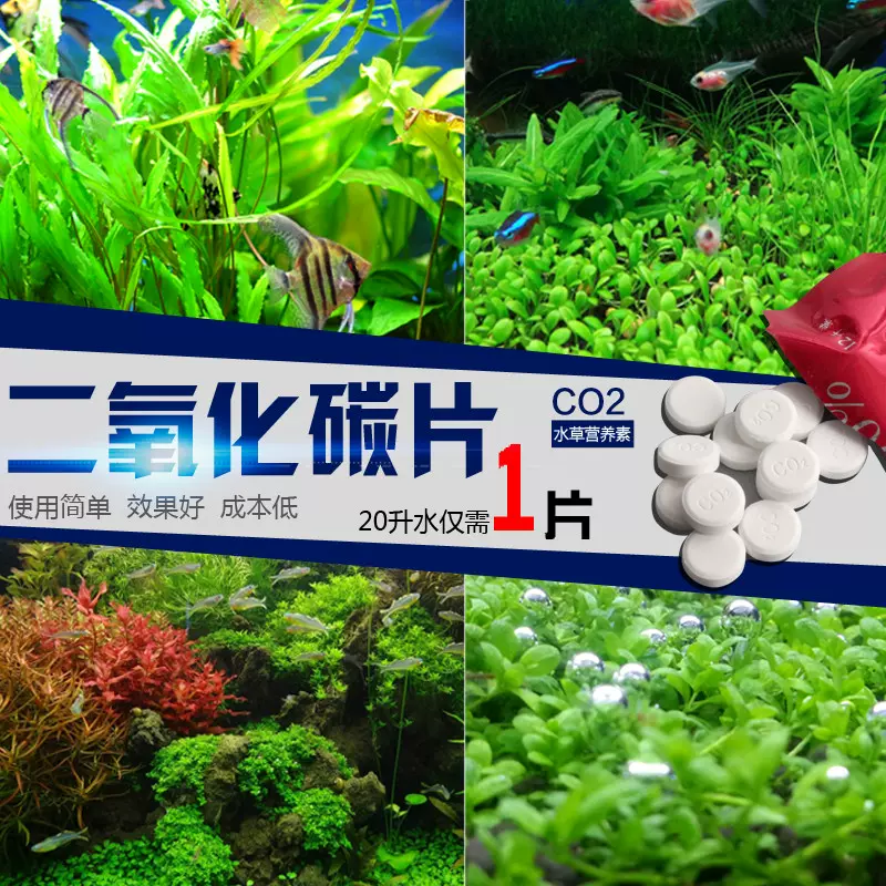 二氧化碳發泡錠水草根肥百分百爆藻水草缸專用co2