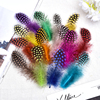 Diy handmade feather pearl chicken feather color feather jewelry accessories material clothing accessories crafts 50 pieces
