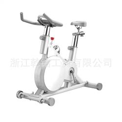Magnetic Control Smart Spinning Bike Home Indoor Exercise Bike Gym Equipment Weight Loss Ultra-Quiet Sports Bike