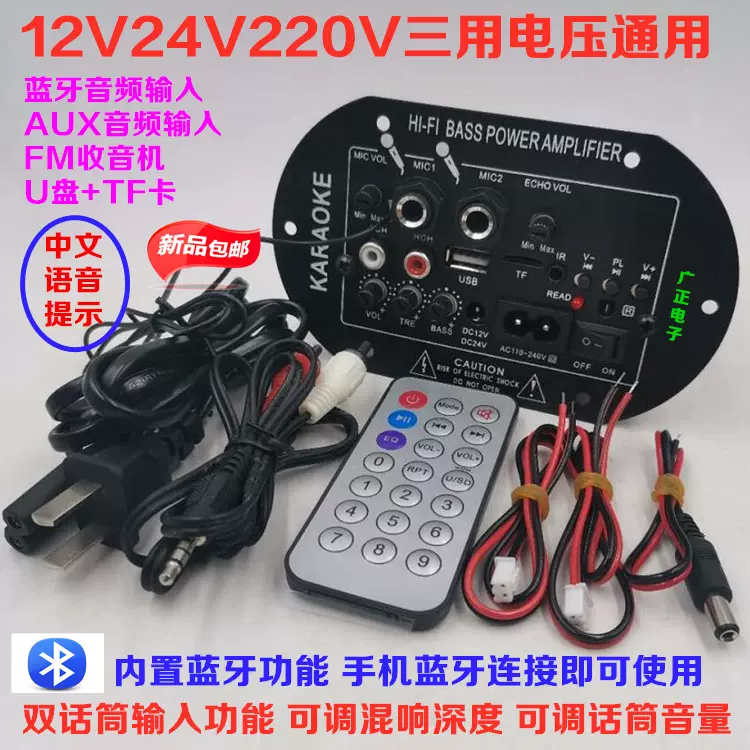 雙話筒大功率藍牙功放板12V24V220V低音炮音箱主板車載通用數字-Taobao