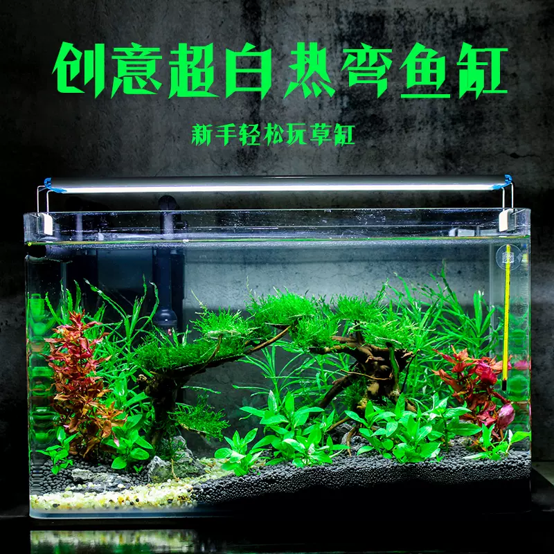 超白玻璃鱼缸客厅小型生态热弯水族箱桌面免换水草创意