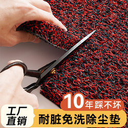 Silk Loop Floor Mat for Entrance, Outdoor Door Mat, Dust-Removing Entrance Mat, Dirt-Resistant, Waterproof, Non-Slip Mat, Entryway Carpet