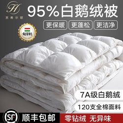 Jing Hilton Hungarian 95% White Goose down Quilt 100% down Warm Winter Quilt Five-Star Hotel Spring and Autumn Quilt Core