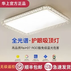 Led Ceiling Light Room Bedroom Light Main Living Room Light Hall Modern Simple and Elegant 2025 New Zhongshan Lighting Fixtures