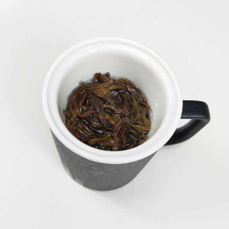 TEANAGOO Tasse à thé avec infuseur et Couvercle, A3A, 500 ML, Arbre