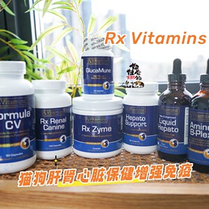 
American Rx Vitamins cat and dog immune enhancement supplement liver and kidney heart health supplement blood iron vitamin B