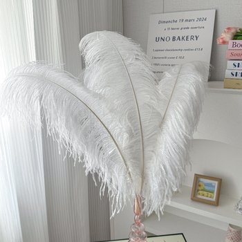 Multicolor jewelry performance props ostrich feathers