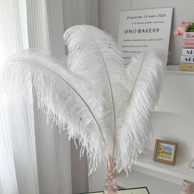 DIY jewelry imported ostrich feathers multicolor wedding feathers road banquet table flower jewelry performance props feathers