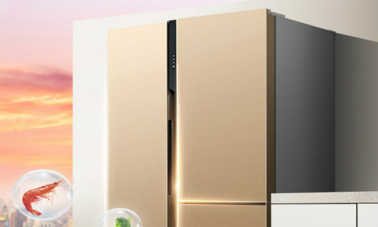 冰爽一夏超实用健康冰箱热浪来袭