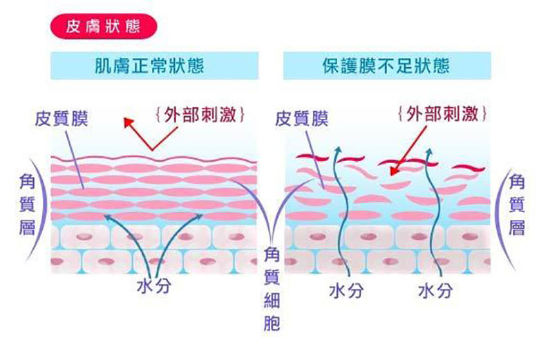 加强保湿抑制油脂