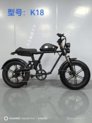 Snow Fat Tire Electric Bike, Beach Electric Bike, Dual Electric Bike, 20inch Retro Electric Bike