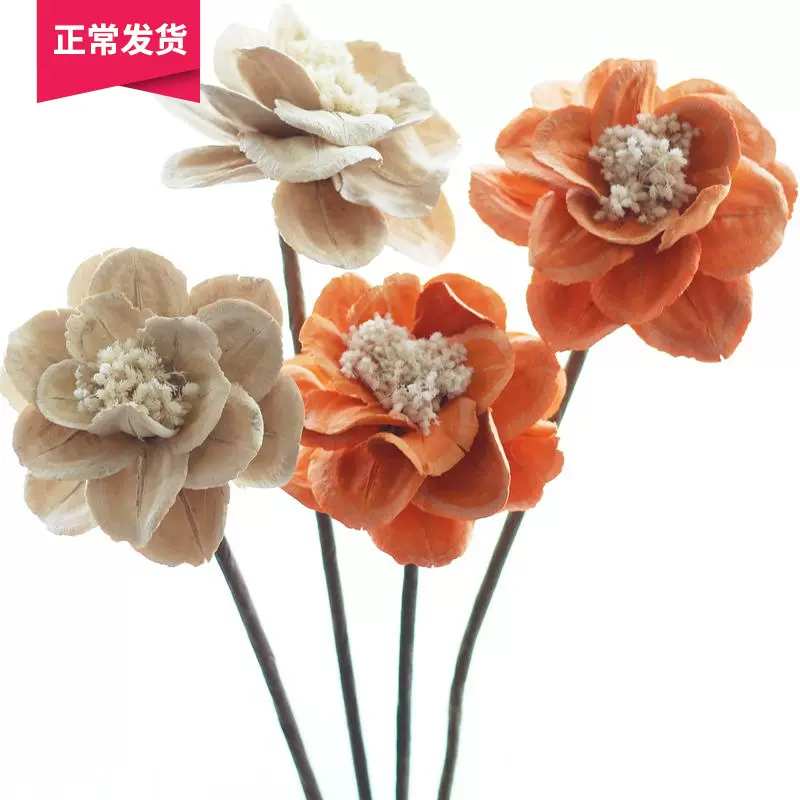 山樹 牡丹自然乾燥高端家居擺設藝術乾燥花姜女花拍攝道具