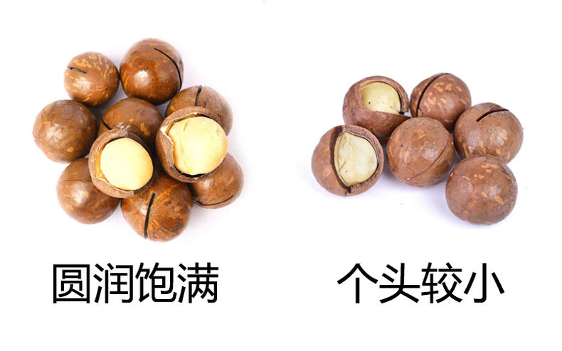 清甜又香脆，日常零食夏威夷果(图3)