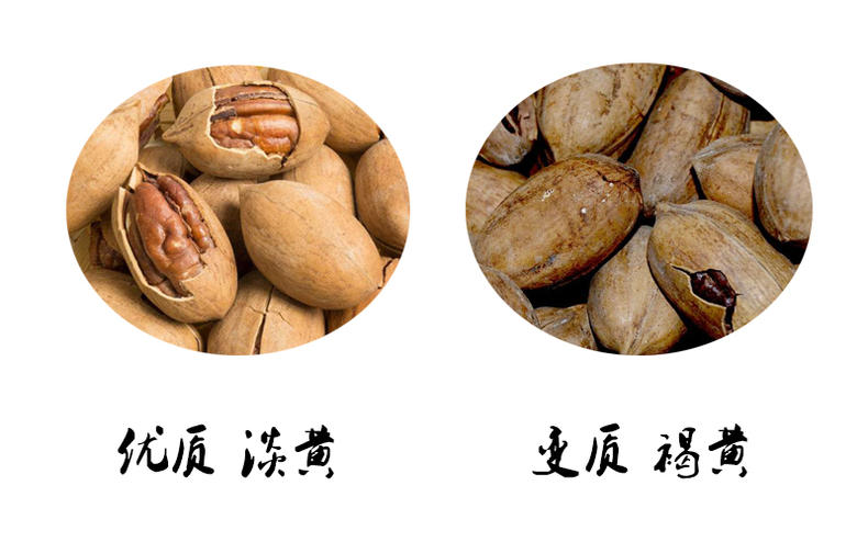 香香脆脆碧根果,少不了的小零食(图4) 香香脆脆碧根果,少不了的小零食(图4)