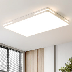 Home Led Ceiling Light 2026 New Model Living Room Hall Chandelier Bedroom Light Modern Simple and Elegant Zhongshan Lighting Fixtures