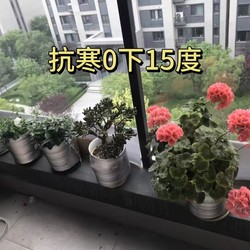 Self-Adhesive Thermal Insulation Stickers, Heat Insulation Film, Sun Protection for Flower Pots, Foam Boxes, Cold Storage, Fish Tanks, Wall Anti-Freeze Insulation Paper