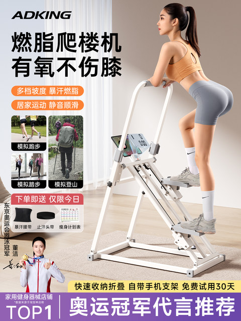 Multifunctional Stair Climber, Fitness Home Step Machine, Indoor ...