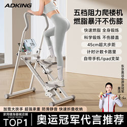 Stair Climbing Machine, Fitness Equipment for Home Use, Multifunctional Stationary Stepper, Sweat-Inducing Fat-Burning Running and Climbing Machine