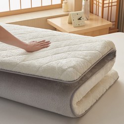 Winter Milk Velvet Mattress Soft Pad Mattress Topper Winter Single Student Dormitory Thickened Warm Mattress Pad