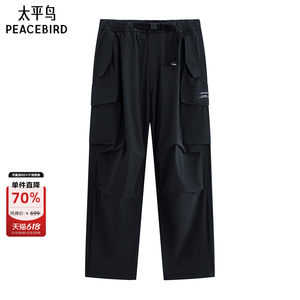 Peacebird men's letter embroidered casual pants autumn trendy work pants fashionable straight pants youth