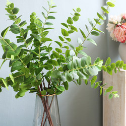 Nordic Eucalyptus Leaves Artificial Green Plants Landscaping Fake Flowers Living Room Vase Ornaments Wedding Flower Arrangements Dried Flower Leaves Decoration
