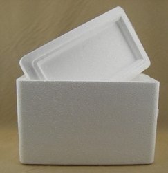 Air Pineapple Insulation Foam Box Plant Cotton