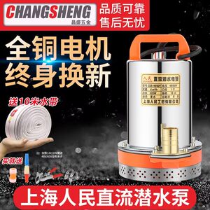 Shanghai People's 12V24V48V60V72V DC submersible pump Electric vehicle pump battery pump