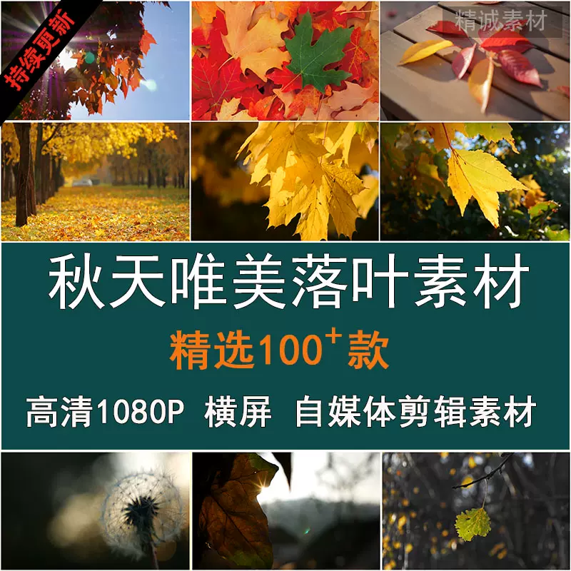 Vlog唯美懷舊秋天風景楓葉落葉樹林陽光實拍自媒體剪輯空鏡頭