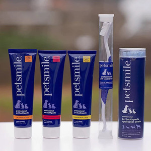 
American Petsmile Pet Toothpaste Toothbrush Cats and Dogs Go to Sturdy Small Dogs to Remove Bad Breathable Edible