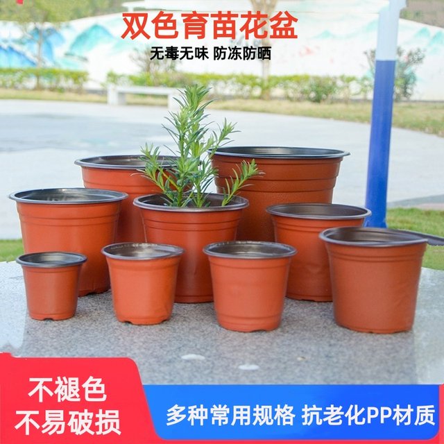 Double -color seedlings flower pot Nutrition bowl Plastic planting disposable cuttings thickened large cultivation strawberry succulent flower