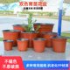 Double -color seedlings flower pot Nutrition bowl Plastic planting disposable cuttings thickened large cultivation strawberry succulent flower