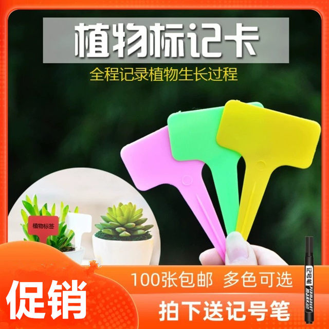 Plant label Gardening label T-shaped succulent label Colorful sign micro landscape waterproof floor sign
