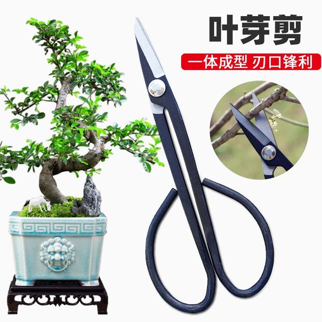 
Leaf bud twig shears, bonsai scissors, bud shears, gardening pruning, professional flower shears, flower arrangement making tools