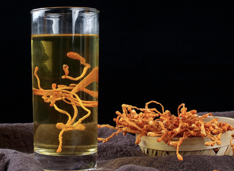 营养滋补虫草花,味道清爽鲜美(图2) 营养滋补虫草花,味道清爽鲜美(图2)