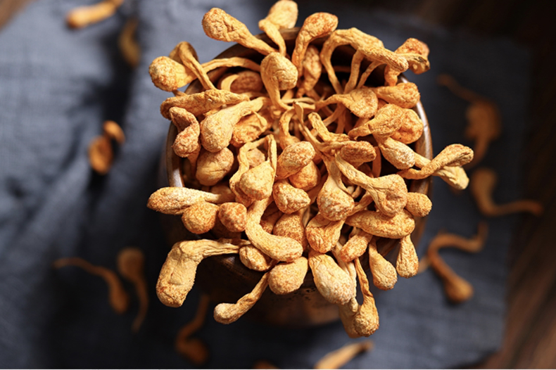 营养滋补虫草花,味道清爽鲜美(图7) 营养滋补虫草花,味道清爽鲜美(图7)