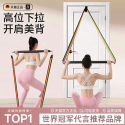 Resistance Band for Home Fitness, Stretching Elastic Band for Women, Shoulder Opening and Back Training Tool, Door-Mounted High Pull-Down Trainer