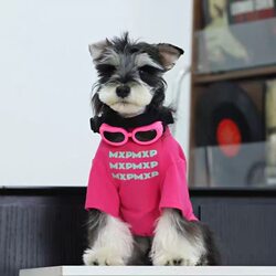 Small Dog Pet Clothes Spring, Autumn and Summer Thin Korean Style Clothes for Small Puppies Teddy Bichon Pomeranian Cat Red