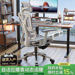 Ergonomic Chair, Home Waist Support Backrest, Computer Chair, Comfortable for Long Periods of Sitting, Reclining Office Chair, Dormitory Gaming E-Sports Chair