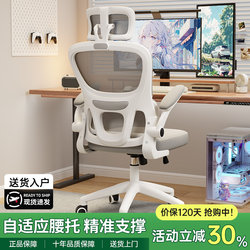 Computer Chair for Home Use, Comfortable for Long Sitting, Ergonomic Chair, Dormitory Chair for College Students, Backrest Chair, Bedroom Gaming E-Sports Chair