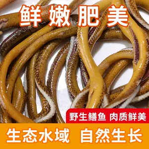 eel wire 2 Latest Authentic Product Praise Recommendation, Taobao Malaysia, 鳗鱼丝2最新正品好评推荐- 2024年3月