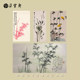 Yunshang Gallery, original calligraphy and paintings of famous masters of Duoyunxuan, bamboo, Xia Yiqiao, Shen Shijia, Han Min, Chen Congzhou, Guo Paintings