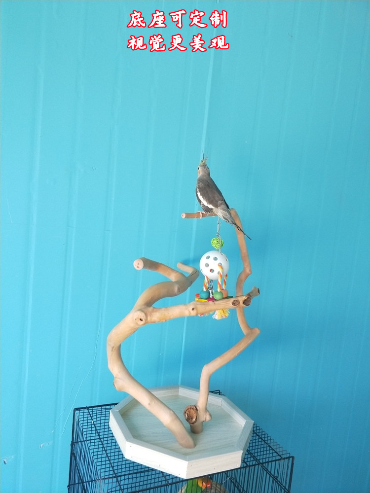 木製小型鳥用運動スタンド*5 木製小型鳥用運動スタンド*5 Amazon | B Baosity オウム プレイ