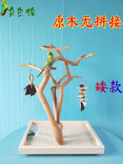 無垢材の鳥スタンド - パラロットのための自然な枝の止まり木