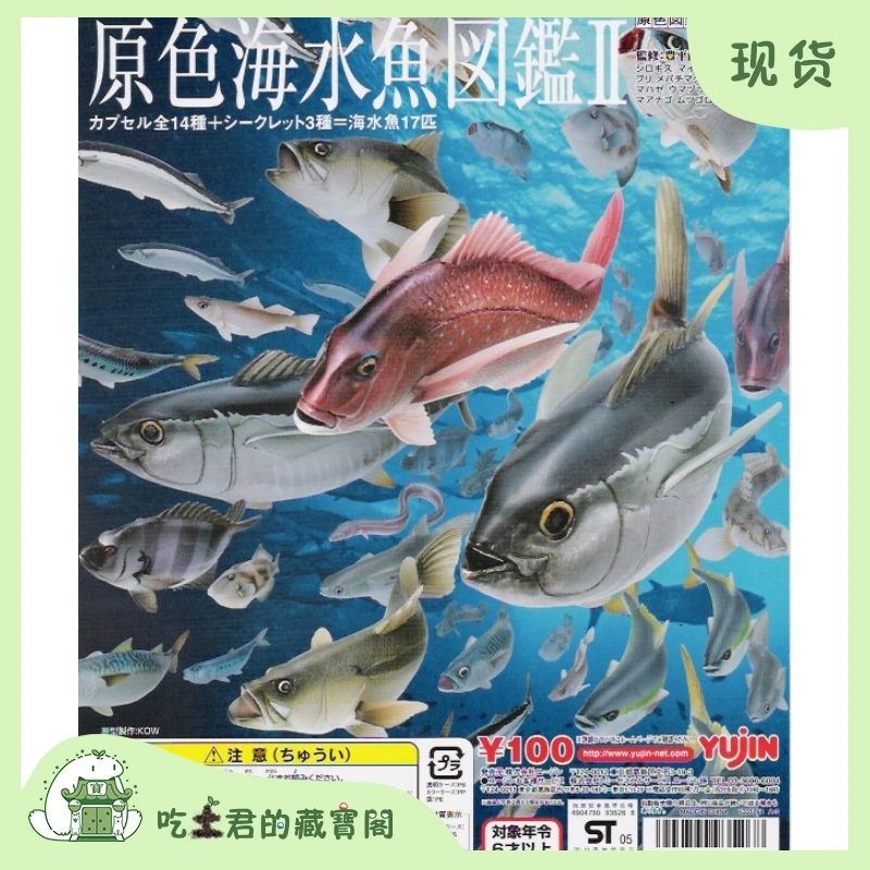 Yujin原色海水魚圖鑑2立體生物模型擺件海洋生物隱藏雲紋石斑魚-Taobao