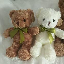 Plush Toy Bear, Teddy Bear, Stuffed Doll, Teddy Bear Gift for Boyfriend/Girlfriend, Birthday Gift