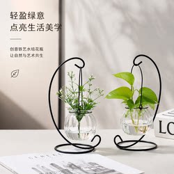 Creative Iron Frame Hydroponic Green Plants Glass Vase Container Pot Office Desktop Green Plant Modern Decoration Ornament