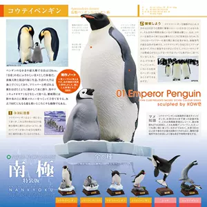 动物图鉴日本- Top 100件动物图鉴日本- 2024年4月更新- Taobao