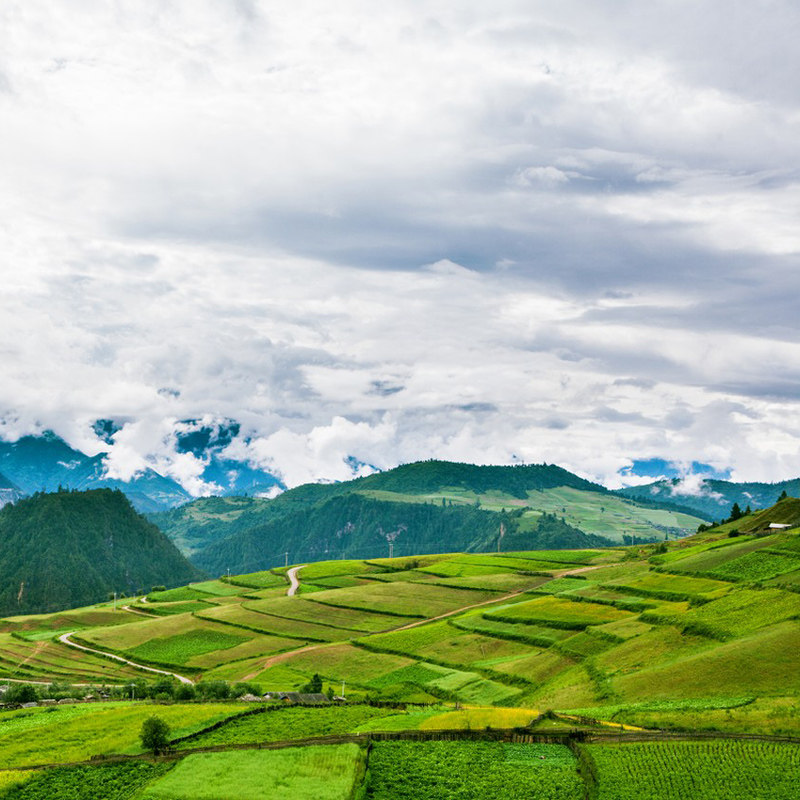 【纯玩0购物+换装旅拍】云南旅游昆明西双版纳湄公河6天5晚跟团游