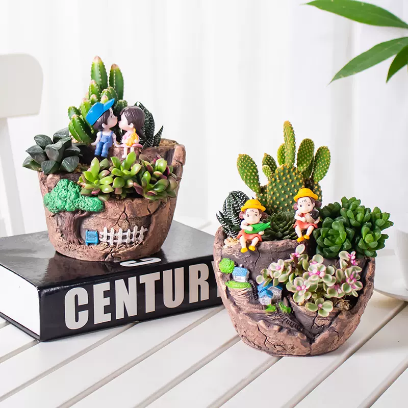 绿植多肉植物盆栽易养耐旱办公室桌面装饰花盆景创意花