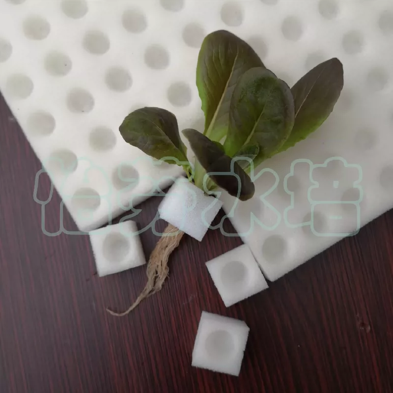 无土栽培海绵圆形凹坑育苗绵水培蔬菜设备水耕菜固根器植物固定棉 Taobao